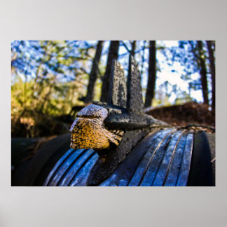 Poster Ornement de la Hood indienne Pontiac