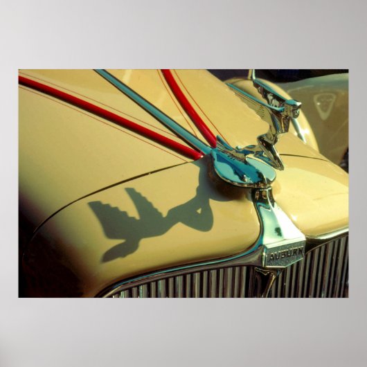 Poster Ornement du radiateur de vitesse Auburn (Devant)