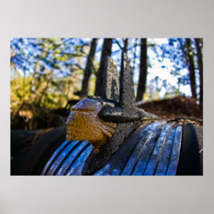 Poster Ornement indien de capot de Pontiac