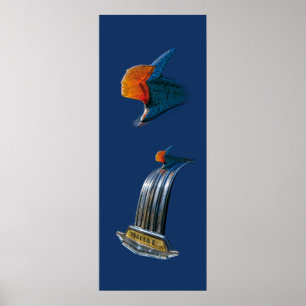 Poster Ornement vintage de capot