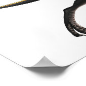 Poster Ornithome (Coin)