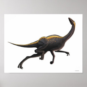 Poster Ornithomimus
