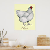 Poster Orpington White Hen (Cuisine)