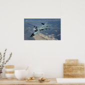 Poster Oryctérope F-111 (Cuisine)