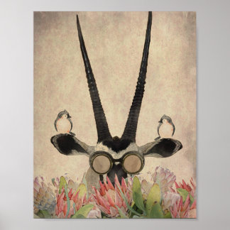 Poster Oryx derrière les fleurs Protea