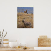 Poster Oryx en Afrique (Cuisine)