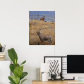 Poster Oryx en Afrique (Bureau à domicile)