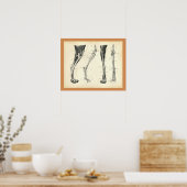 Poster Os à mâchoires Muscle Anatomie vétérinaire Imprime (Cuisine)