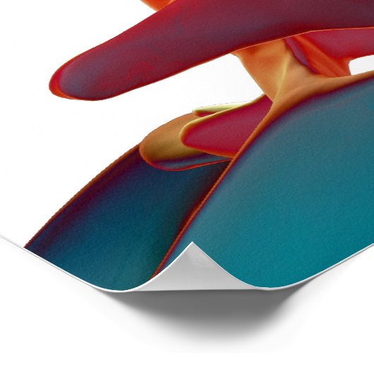 Poster Os cou (Coin)