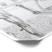Poster Os de la Basse-Extrémité, Léonard de Vinci (Coin)