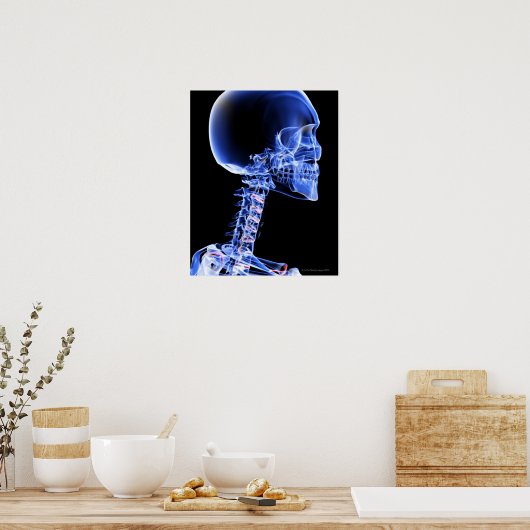 Poster Os de la tête et du cou (Cuisine)