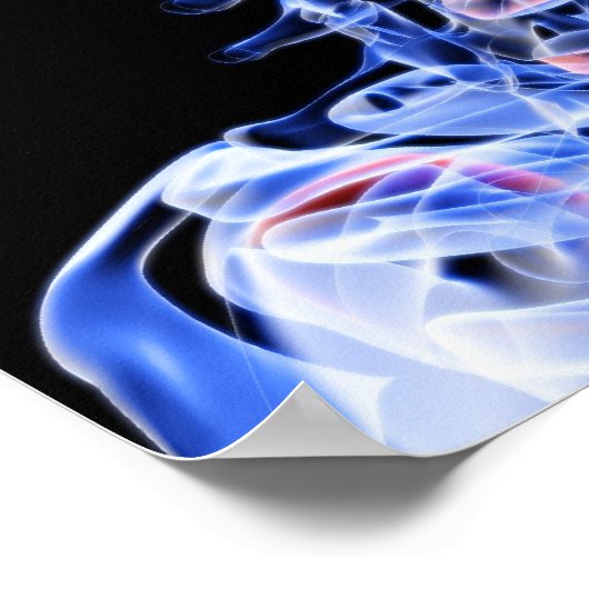 Poster Os de la tête et du cou (Coin)