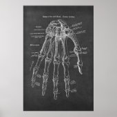 Poster Os de l'anatomie de surface palmaire gauche (Devant)