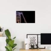 Poster Os de l'épaule (Bureau à domicile)