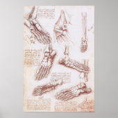 Poster Os de pied de l'anatomie humaine par Leonardo da V (Devant)