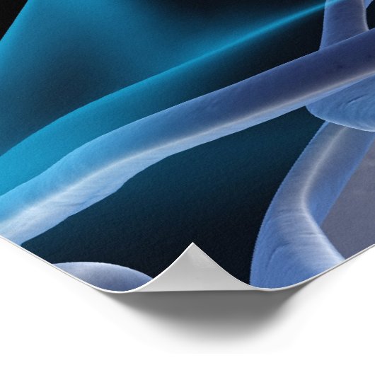 Poster Os du cou 2 (Coin)