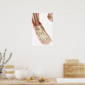 Poster Os du pied 15 (Cuisine)