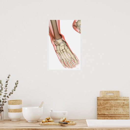 Poster Os du pied 15 (Cuisine)