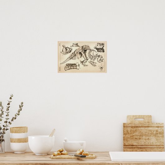 Poster Os Fossiles Squelette Anatomie animale Imprimer (Cuisine)