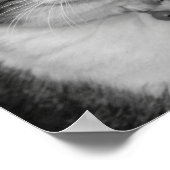 Poster Osez regarder dans mes yeux verts (Coin)