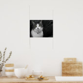 Poster Osez regarder dans mes yeux verts (Cuisine)