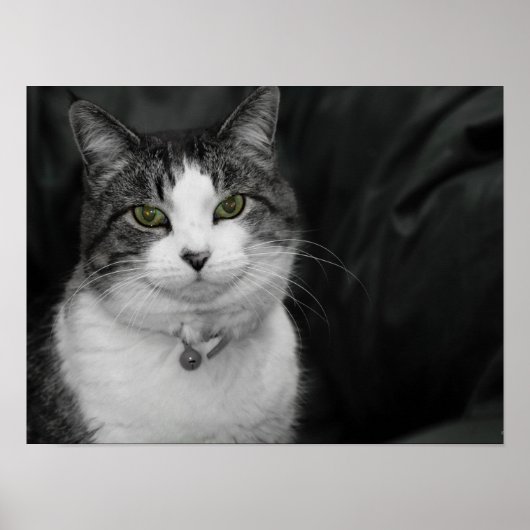 Poster Osez regarder dans mes yeux verts (Devant)