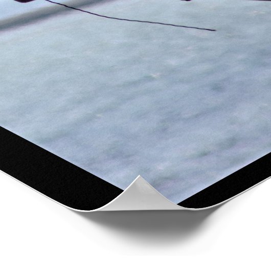 Poster Osprey (Coin)