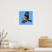 Poster Osprey Bird (Cuisine)