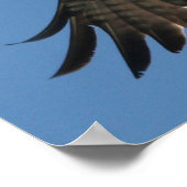 Poster Osprey Bird Spirit of the LORD Print (Coin)