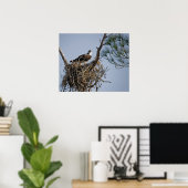 Poster Osprey Nest (Bureau à domicile)