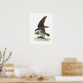 Poster Osprey par Audubon (Cuisine)