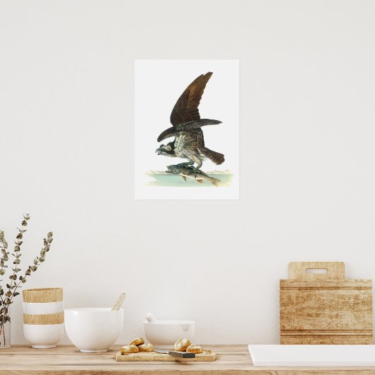 Poster Osprey par Audubon (Cuisine)