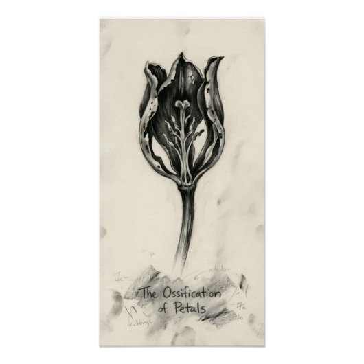 Poster Ossification du pétale (Devant)