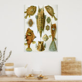 Poster Ostraciontes (Cuisine)