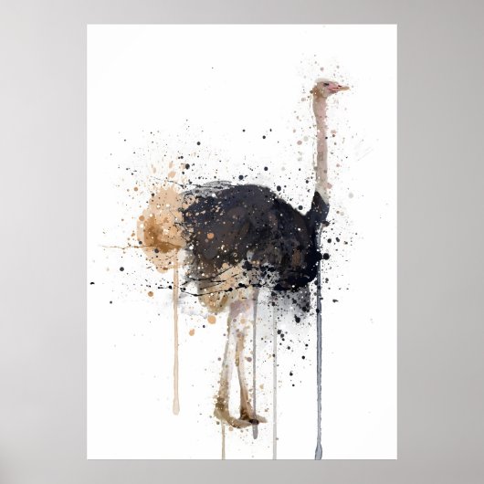 Poster Ostrich (Devant)