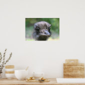 Poster Ostrich (Cuisine)