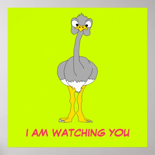 Poster Ostrich (Voorkant)