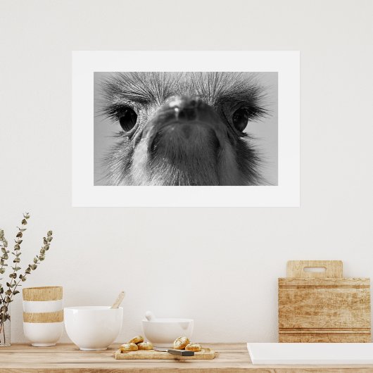 Poster Ostrich#1-Poster (Cuisine)