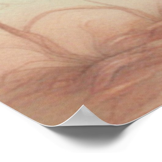 Poster Ostrich Love 3 (Coin)