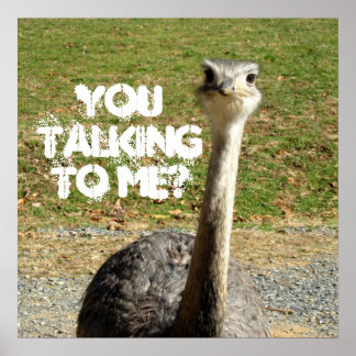 Poster Ostrich Tu Me parles ?
