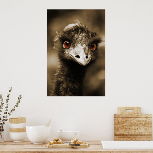 Poster Ostriches (Cuisine)