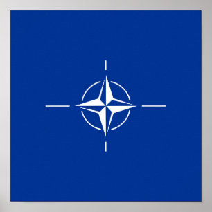 Poster OTAN Atlantic Treaty Organization Allia