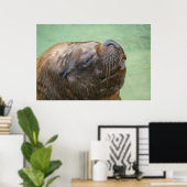 Poster Otarie sud-américaine taureau (Bureau à domicile)