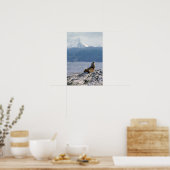 Poster Otaries dans le canal de Beagle - Argentine (Cuisine)