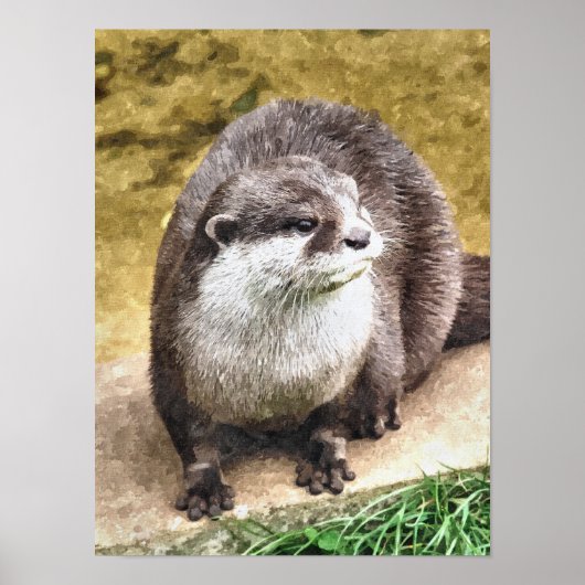POSTER OTTER (Devant)