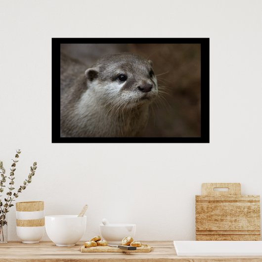 Poster Otter (Cuisine)