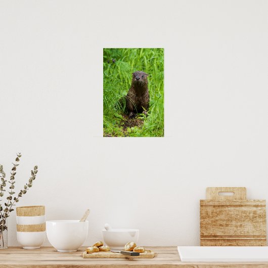 Poster Otter (Cuisine)