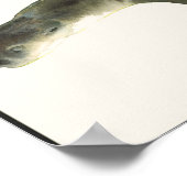 Poster Otter européenne (Coin)