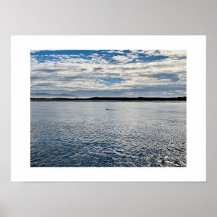 Poster Otter in the Distance California Color Photography