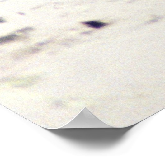 Poster Otter Raft (Coin)